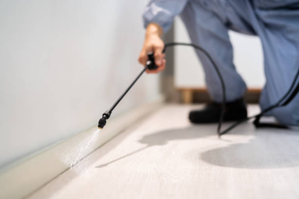 Certified termite inspector examining foundation in Eagle Grove