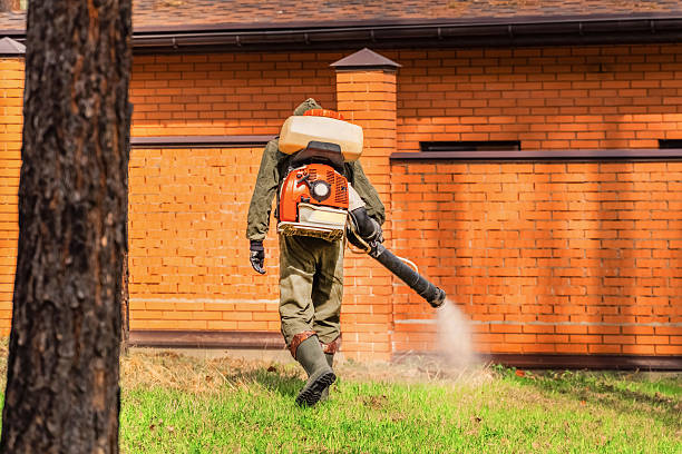Bed Bug Clearance Verification and Documentation in Eagle Grove